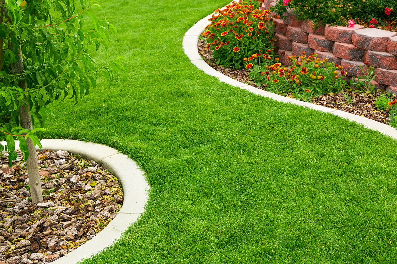 garden plants with landscape curbing