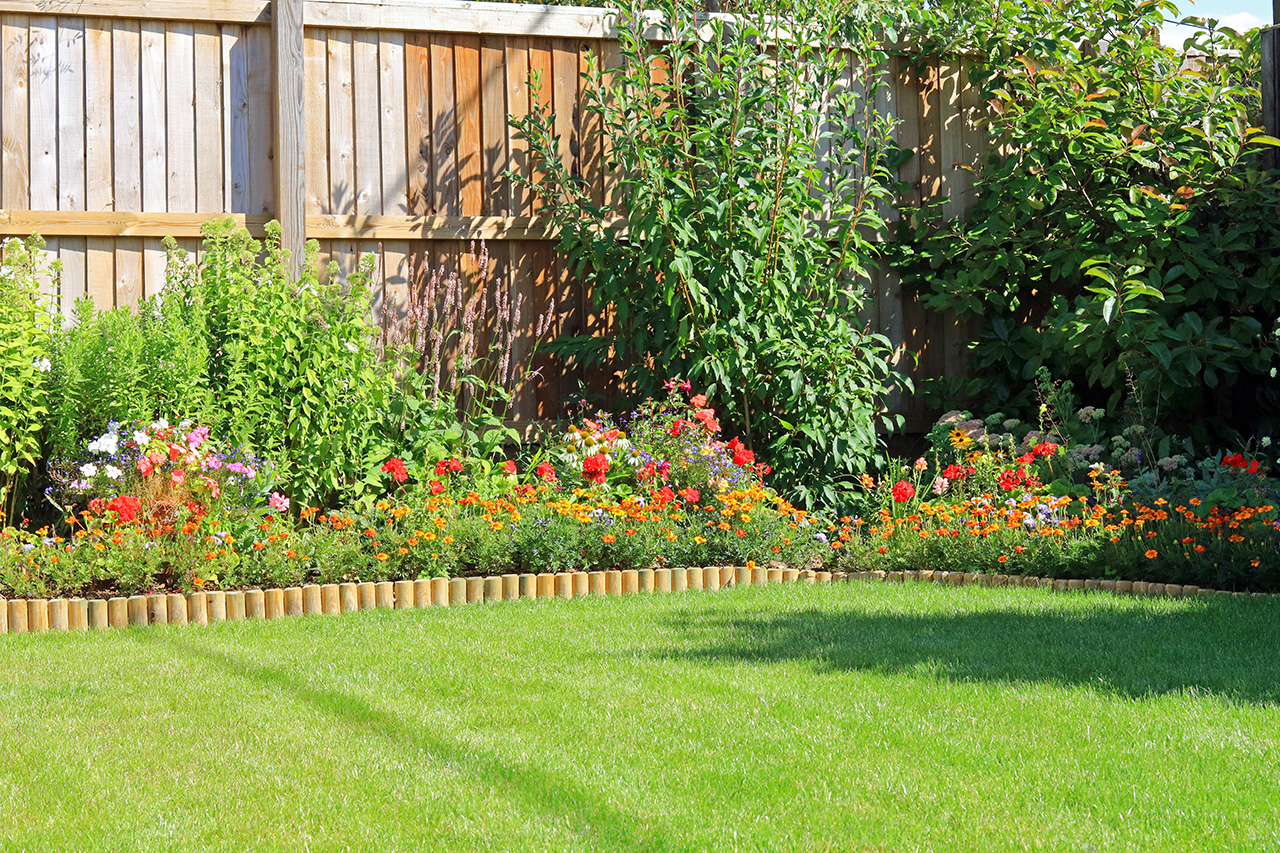 summer flowers in home garden