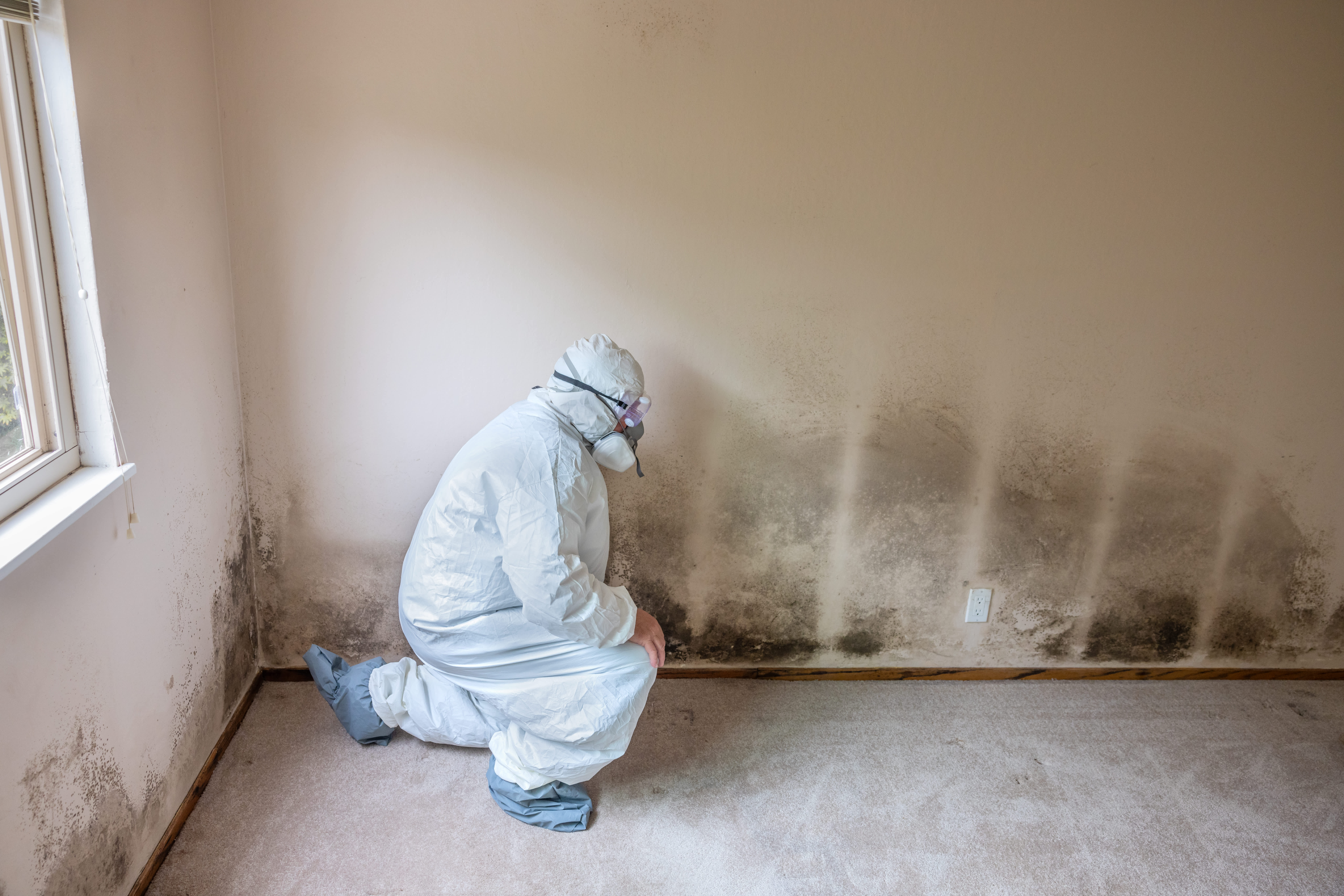 Professional in protective gear removing mold from a wall, emphasizing toxicity and mold removal for a safer home environment